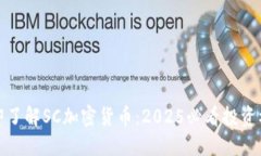 立即了解SC加密货币：20